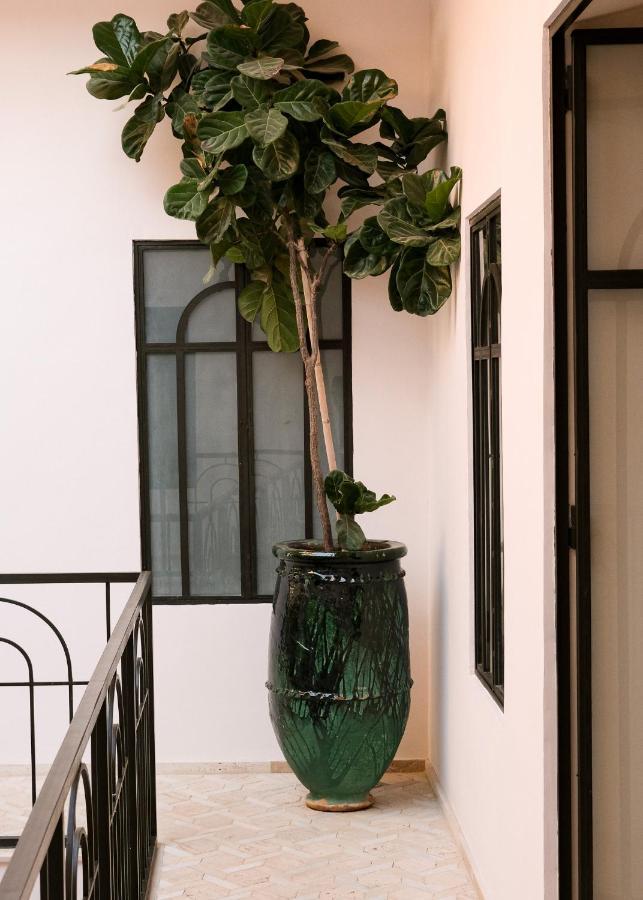 Riad Pompon マラケシュ エクステリア 写真